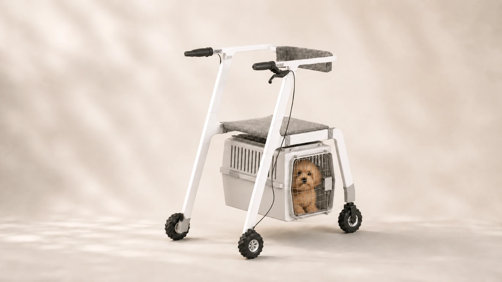 RollaPETor with a small dog in its carrier